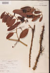 000002142-thumbnail.jpg