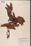 000002143-thumbnail.jpg