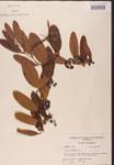 000002144-thumbnail.jpg