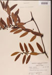 000002145-thumbnail.jpg