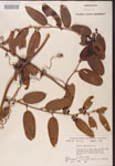 000002146-thumbnail.jpg