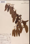 000002147-thumbnail.jpg