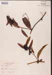 000002148-thumbnail.jpg