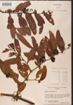 000002150-thumbnail.jpg