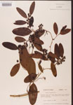 000002151-thumbnail.jpg