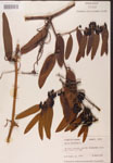 000002154-thumbnail.jpg