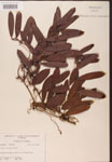 000002157-thumbnail.jpg