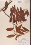 000002158-thumbnail.jpg