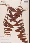000002160-thumbnail.jpg