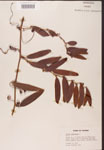 000002162-thumbnail.jpg