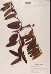000002163-thumbnail.jpg