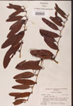 000002164-thumbnail.jpg