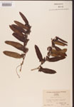 000002165-thumbnail.jpg