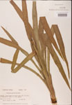 000002270-thumbnail.jpg