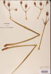 000002297-thumbnail.jpg