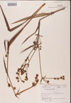 000002312-thumbnail.jpg