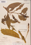 000002385-thumbnail.jpg
