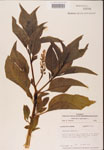 000002395-thumbnail.jpg