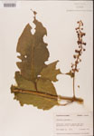 000002403-thumbnail.jpg