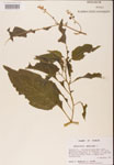 000002408-thumbnail.jpg