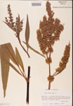 000002421-thumbnail.jpg