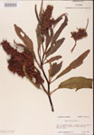 000002422-thumbnail.jpg