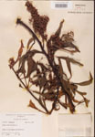 000002423-thumbnail.jpg