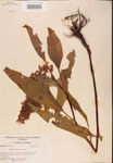 000002425-thumbnail.jpg