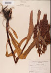 000002426-thumbnail.jpg