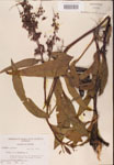 000002430-thumbnail.jpg