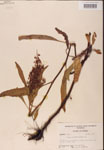 000002432-thumbnail.jpg