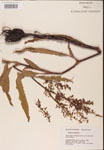 000002434-thumbnail.jpg