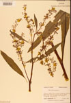 000002436-thumbnail.jpg