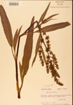 000002437-thumbnail.jpg