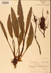 000002438-thumbnail.jpg