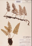 000002449-thumbnail.jpg
