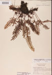 000002452-thumbnail.jpg