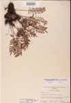000002453-thumbnail.jpg