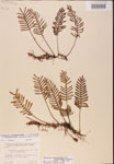 000002454-thumbnail.jpg