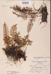 000002457-thumbnail.jpg