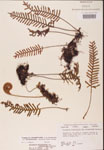 000002458-thumbnail.jpg