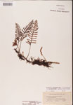 000002459-thumbnail.jpg