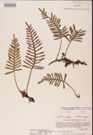 000002465-thumbnail.jpg