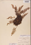 000002469-thumbnail.jpg