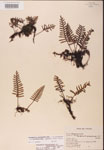 000002471-thumbnail.jpg