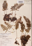 000002472-thumbnail.jpg