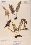 000002473-thumbnail.jpg