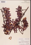 000002499-thumbnail.jpg