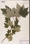 000002503-thumbnail.jpg