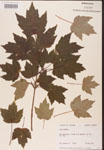 000002504-thumbnail.jpg